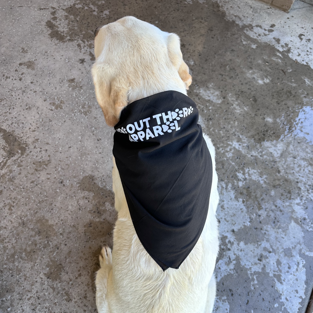 A yellow Labrador retriever, commonly seen as man's best friend, is sitting on a concrete floor facing away. The faithful dog wears a black bandana with silver reflective text from the Life Out There Apparel collection called "Best Friend Dog Bandanas." Water spots on the floor imply it might be wet.